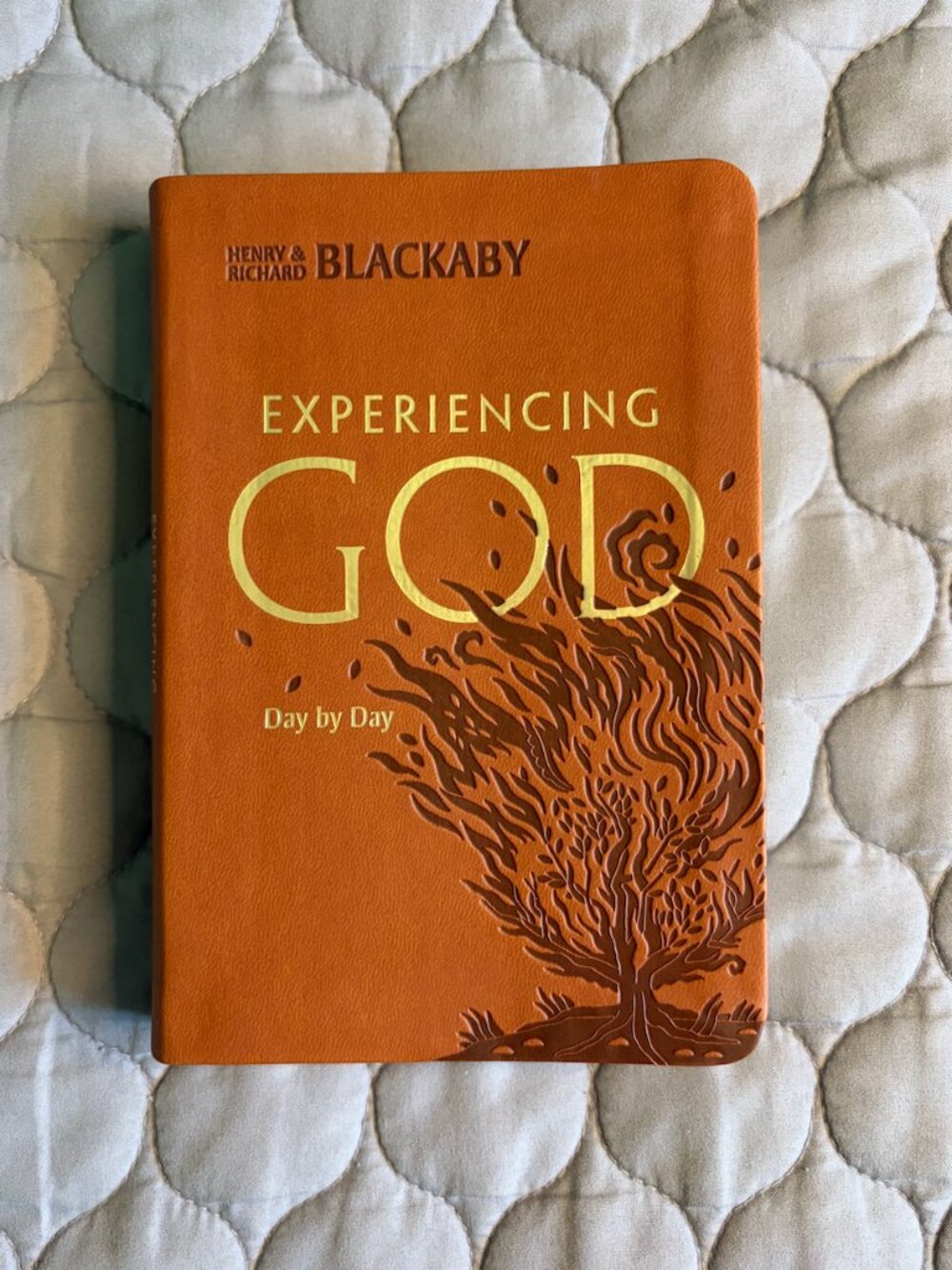 Experiencing God Day by Day